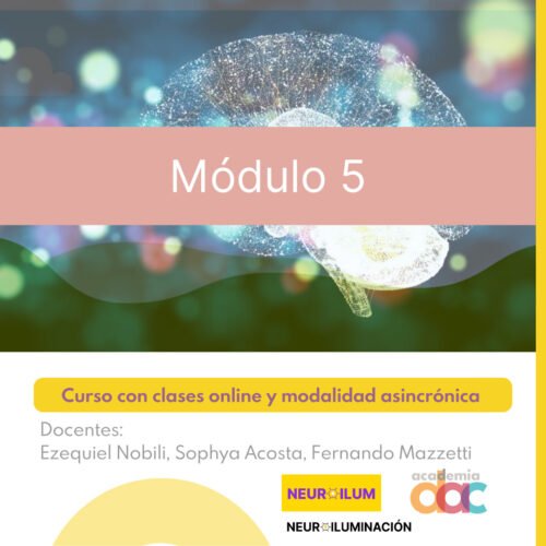 NEUROILUM III - MÓDULO 5 - Arte, diseño efímero y neuroiluminación