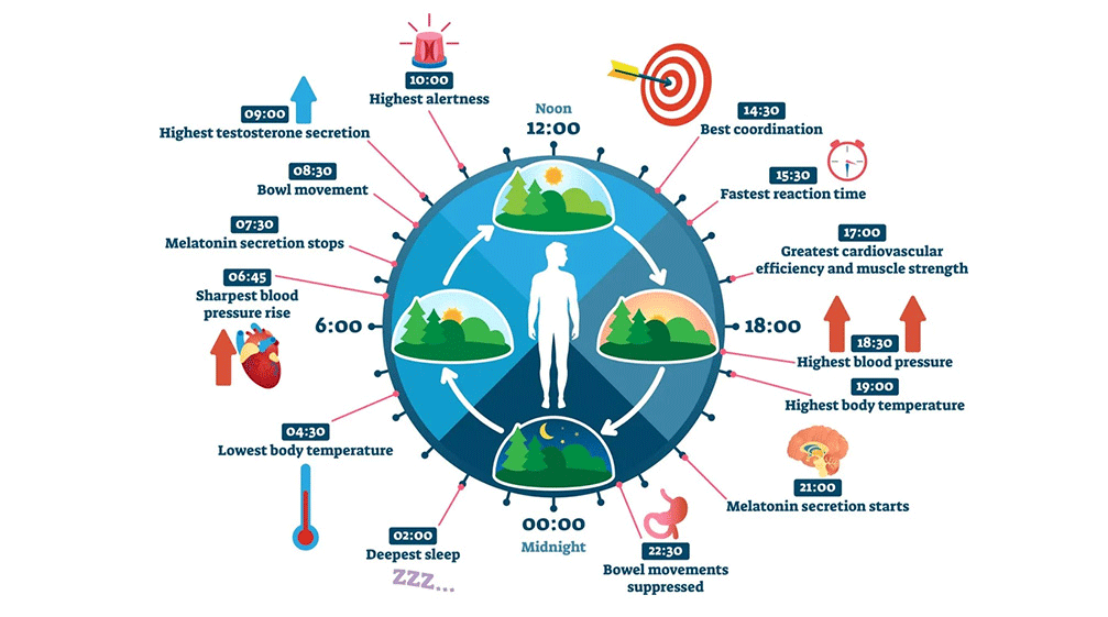 Bienestar circadiano con persona durmiendo bajo neuroiluminación regulada