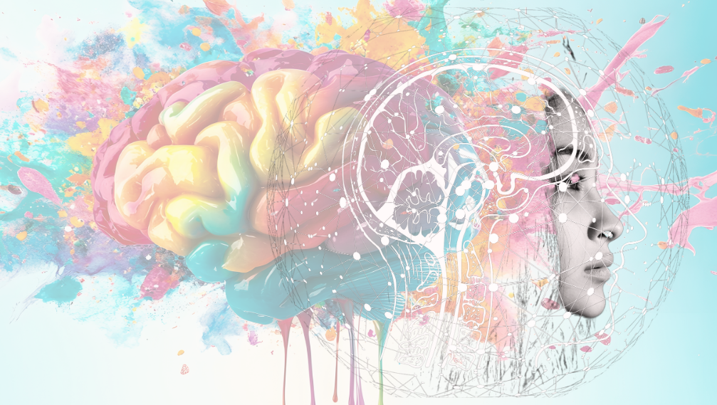 Cerebro humano con conexiones neuronales luminosas simbolizando neuroplasticidad y antienvejecimiento neural a cualquier edad